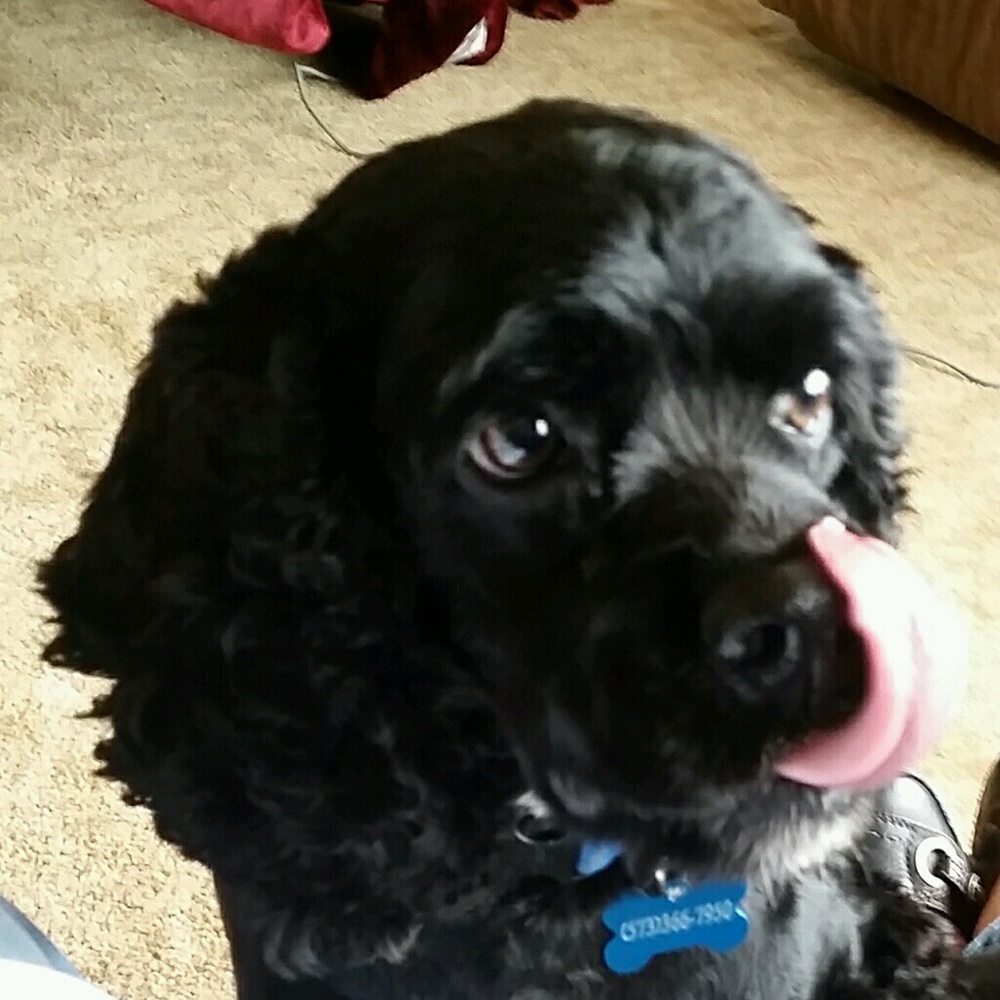 Meet your Posher, Gabrielle